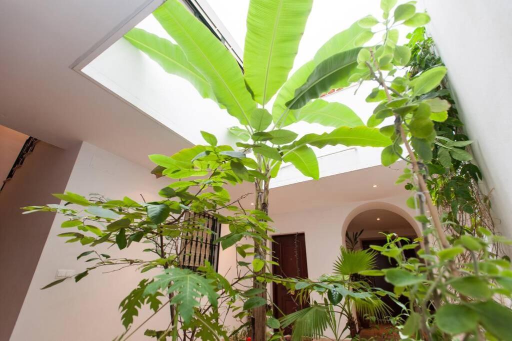 Cheap & Chic In The Center Of Sevilla Екстер'єр фото